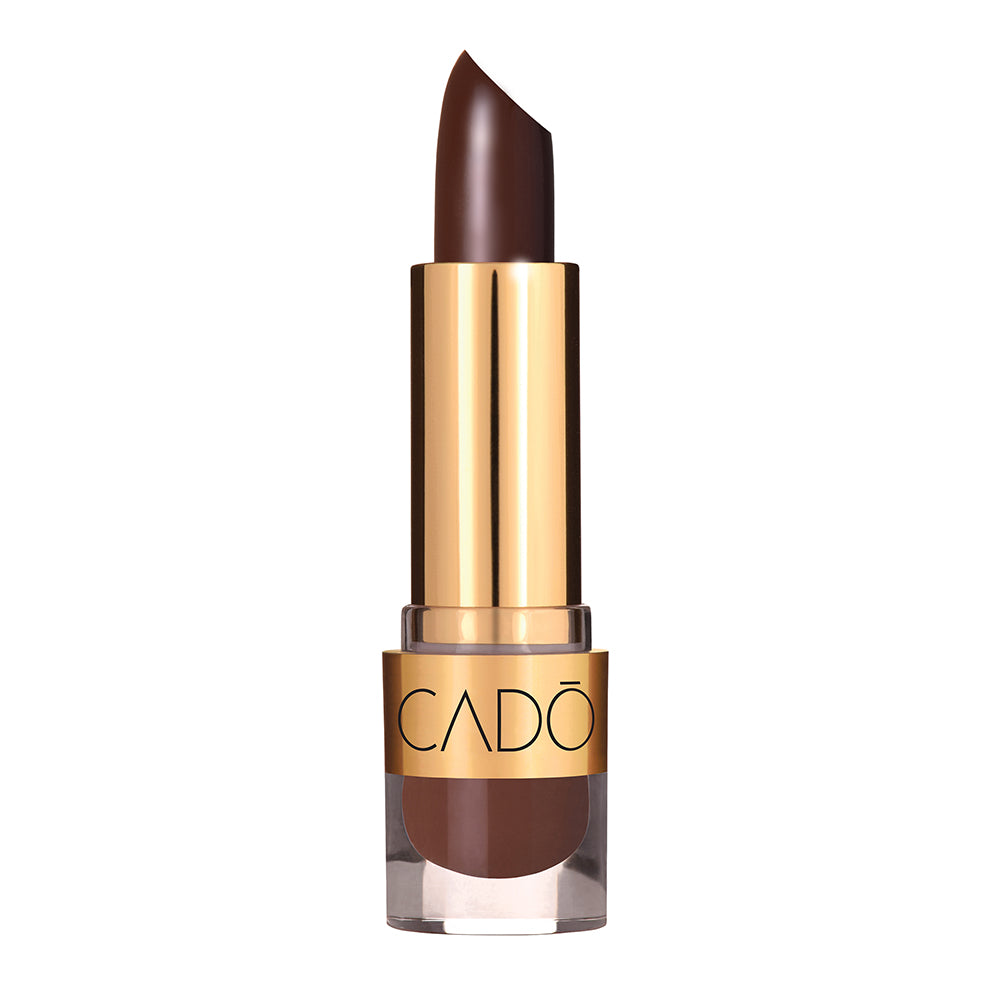 Women's Chocolate Color Lipstick